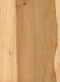 pecan the wood database hardwood