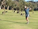 Anglesea Golf Club, Attraction, Great Ocean Road, Victoria, Australia