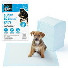 puppy training pads x10 floor protector