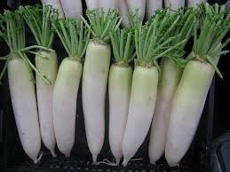 Image result for cold daikon recipe