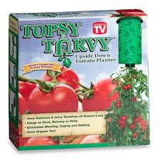 Diy Topsy Turvy Tomato Planter