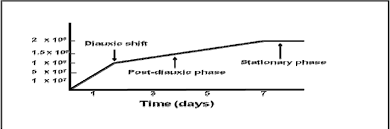 Time Chart With The Different Phases Leading To Stationary