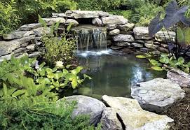 Pond Landscaping Waterfalls Backyard