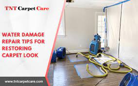 water damage repair tips to re