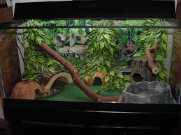 aquariums ball python tank