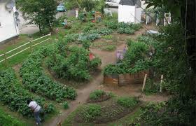 Intergenerational Community Gardening