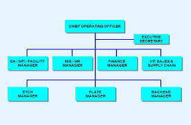 Dci About Us Organizational Structure