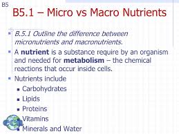 part 5 micro macro nutrients powerpoint