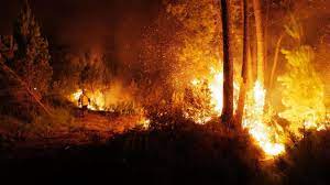 Incendies en Gironde : 8 000 habitants supplémentaires évacués ce lundi -  Le Messager