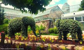 garden topiaries at the fwbg what s