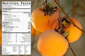 persimmons fun food facts and recipe