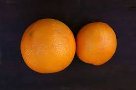 parts of the orange fruit ehow