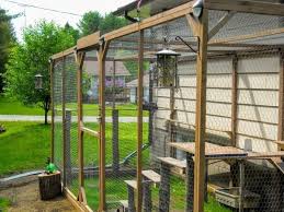 Build An Outdoor Cat Enclosure Or Catio