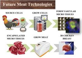 future meat technologies the future of