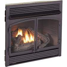 Dual Burner Gas Fireplace Insert