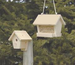 Birdhouses Feeders Mailbox