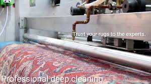 rug cleaning gold coast your local