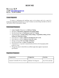Resume Template For Experienced Professional Resume Sample Of Experienced  It Professional Resume Ixiplay Free Template Resume Genius