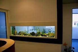 wall aquarium aquarium design