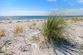 The usa has 10 panhandles, from florida to alaska. 3 Breathtaking State Parks In The Florida Panhandle Adagio 30a