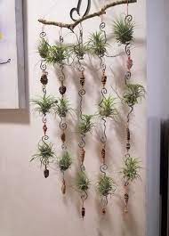 Vertical Garden Ideas With Air Plants