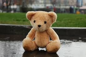 apology cute teddy bear gift box sorry