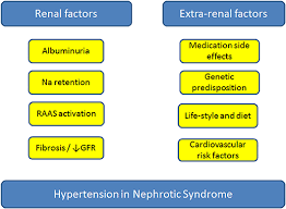 Frontiers Hypertension In Childhood Nephrotic Syndrome