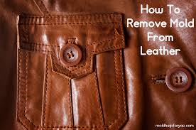 how to remove mold from leather the