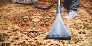 wellington nz capital carpet cleaning