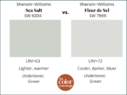 Sherwin Williams Sea Salt Color Review