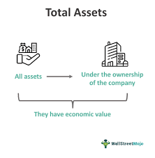 Total Assets What Are They Formula