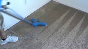 professional carpet cleaninz deep