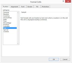 automatic formatting of numbers in excel