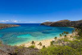 ハナウマ湾自然保護区：ハワイの「自然・名所」｜allhawaiiオールハワイ