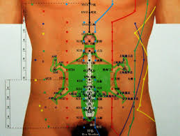 Abdominal Acupuncture Points Chart Www Bedowntowndaytona Com