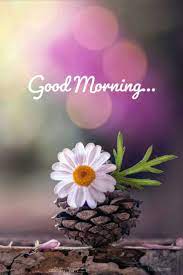 Let a cheery good morning wish start their day with a smile. Get Up Early In The Morning And Don T Forget To Say Thank You To God For Giving You Another Day Good Good Morning Flowers Good Morning Quotes Morning Quotes