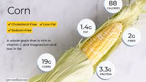 corn nutrition facts and health benefits