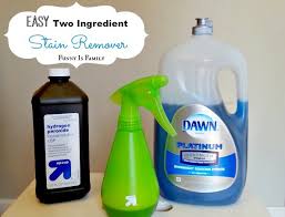 easy homemade stain remover