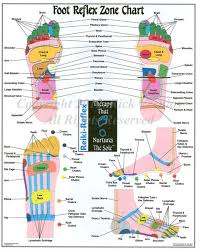 Foot Zone Chart Foot Zoning Reflexology Chart