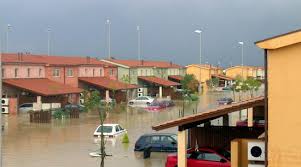 My Basement Flooded What Will