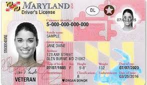 licenses permits id cards