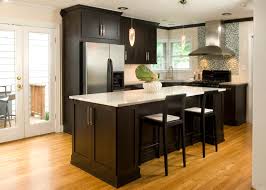 dark kitchen cabinets