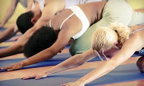 wellness haven yoga studio san ramon