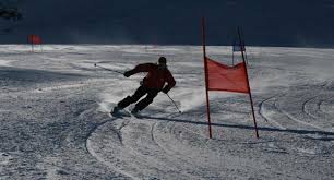 Race Skis Ski Reviewer