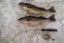 pennsylvania fishing report january 7