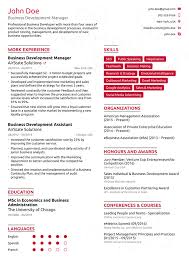 Resume Resume Examples For Your Job Application Sample Of