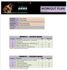 guru mann ultimatearms workout calendar