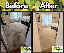 organic citrus carpet cleaning and