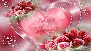 romantic love heart rose