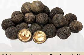 african walnut facts and health benefits
